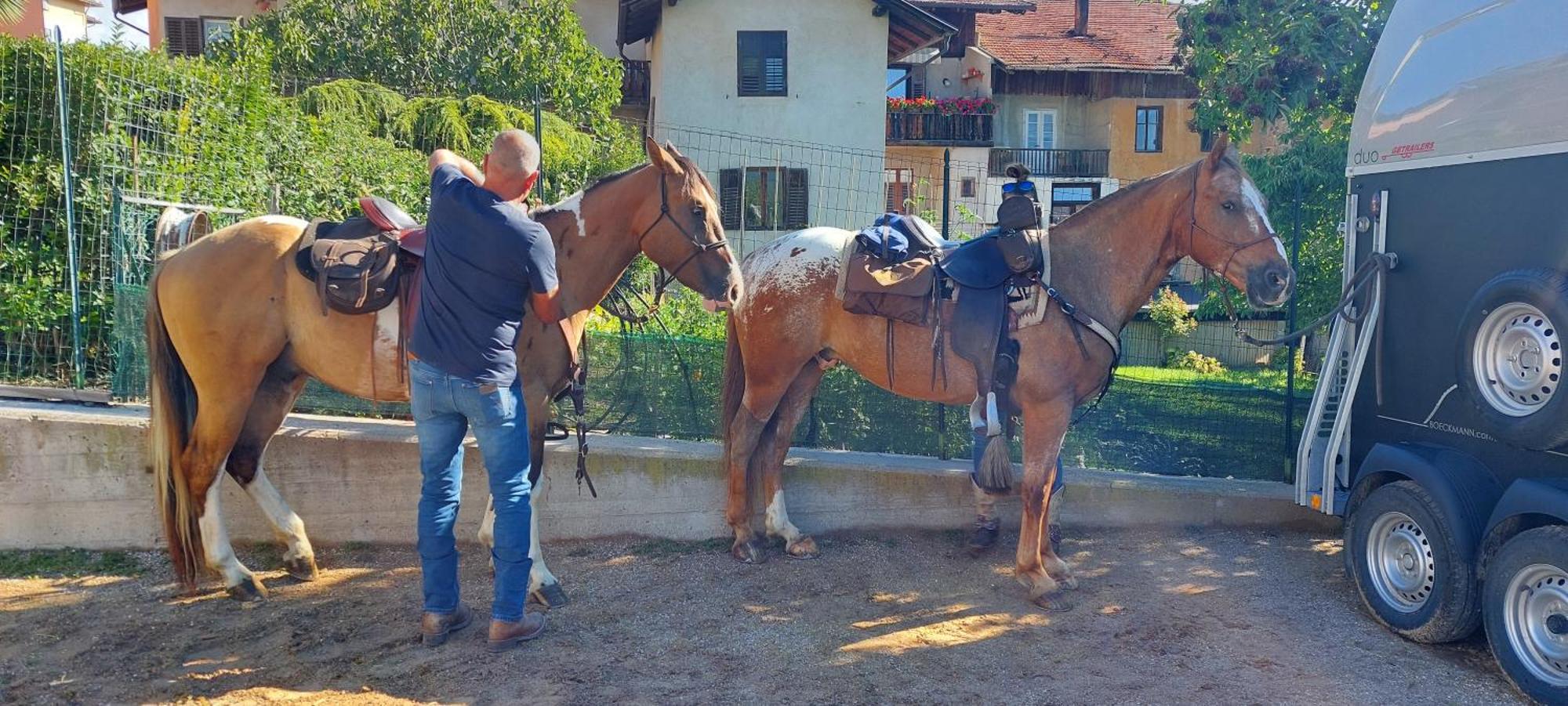לינה וארוחת בוקר Romallo Horse House מראה חיצוני תמונה